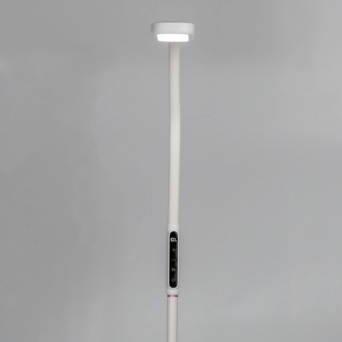 Торшер CITILUX CL804020