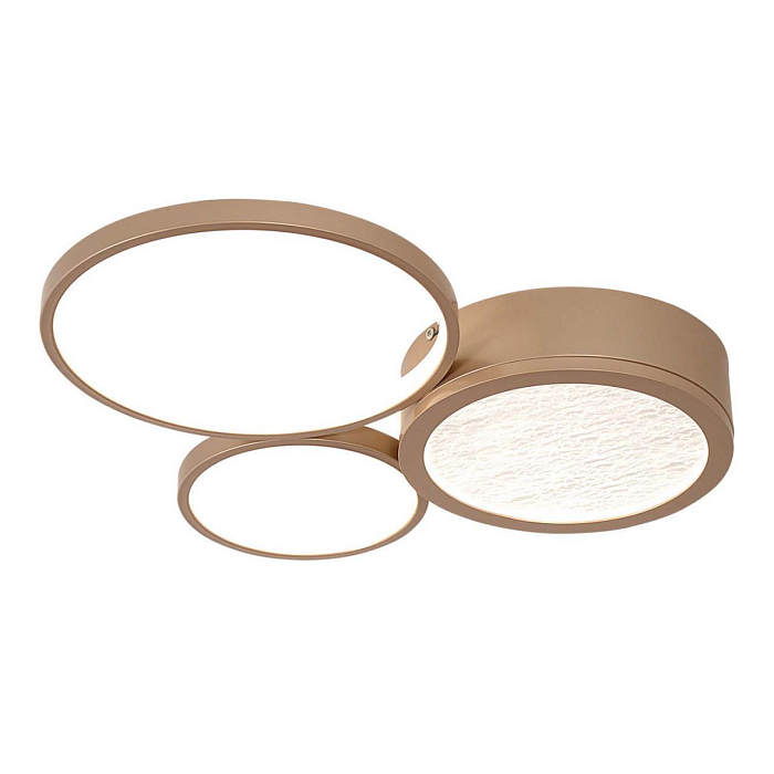 F-Promo 4681-3C