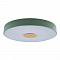 Светильник LOFT IT 10003/24 Green