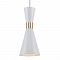 Светильник F-Promo 2758-1P