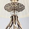 Настольная лампа интерьерная Eurosvet 01002/1 античная бронза