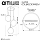 Светильник Citilux CL247022